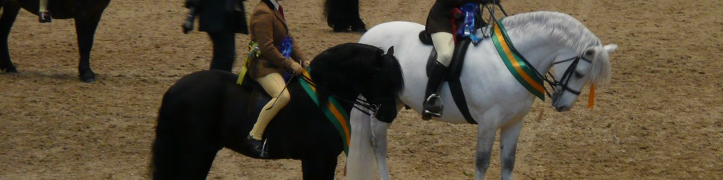 Olympia Champion 2010 Pumphill Buckthorn