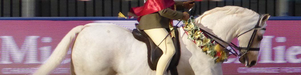 Olympia Champion 2017 Cadlanvalley Sandpiper